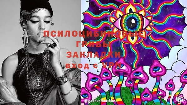 мяу мяу мука Алексеевка