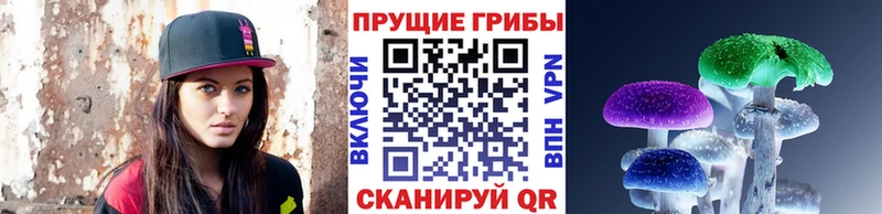 наркошоп  это как зайти  Галлюциногенные грибы Magic Shrooms  Алзамай 